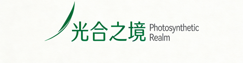光合之境（广州）跨境电商有限公司